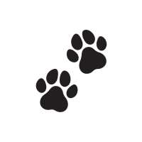 Read Hydro Jug Reviews